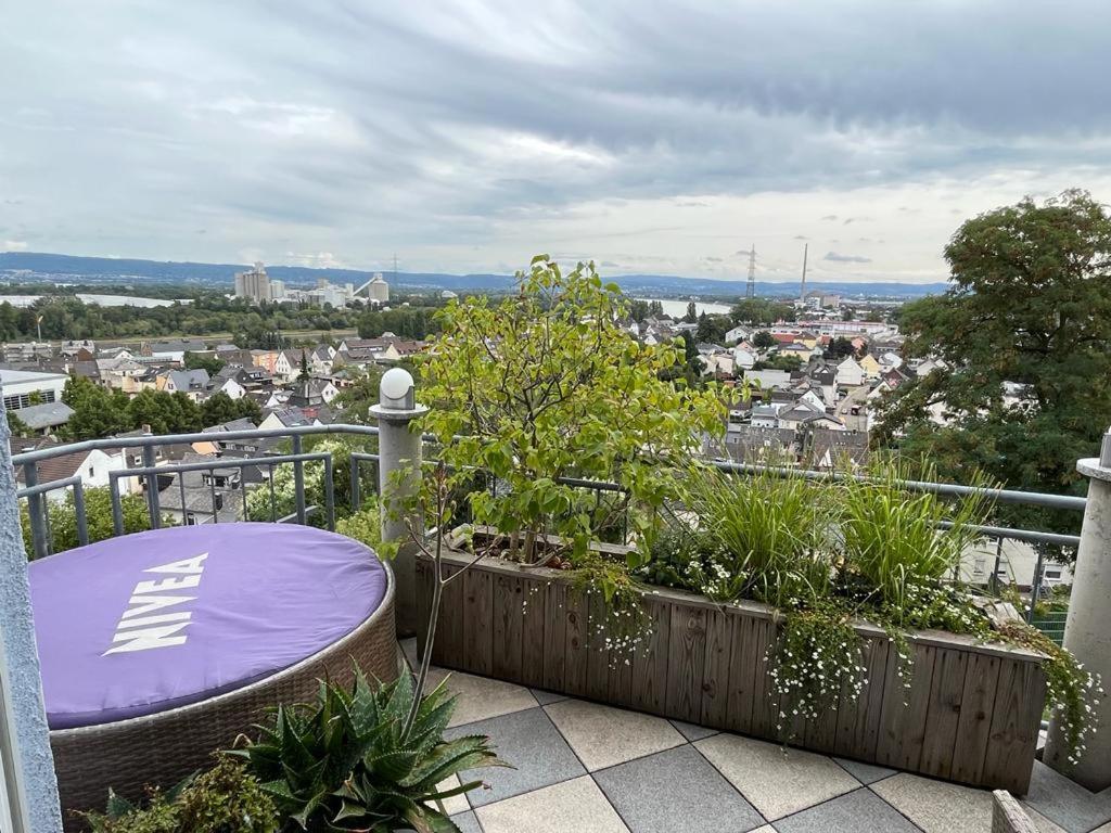 Zum Schoenen Ausblick Weissenthurm Exterior photo